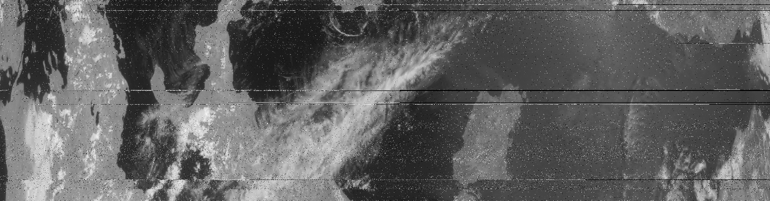 MSU-MR-2.png